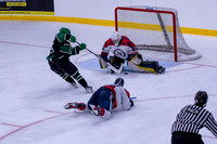 2025-11-07 Jets vs Steel