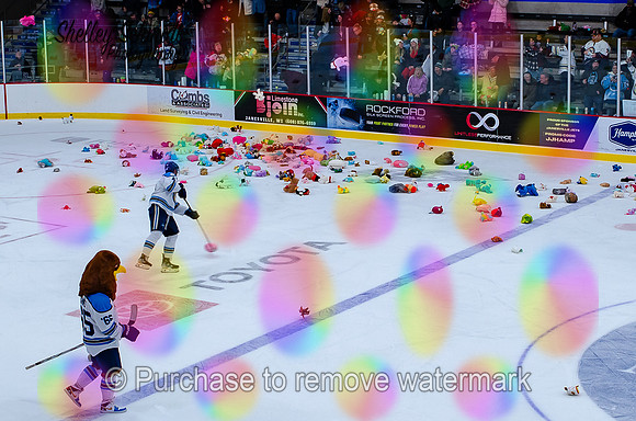 2025-12-13 Teddy Bear Toss-1