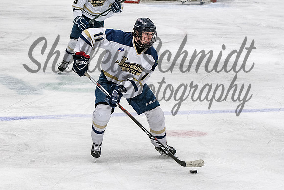 Janesville Jets 2018-03-01-69