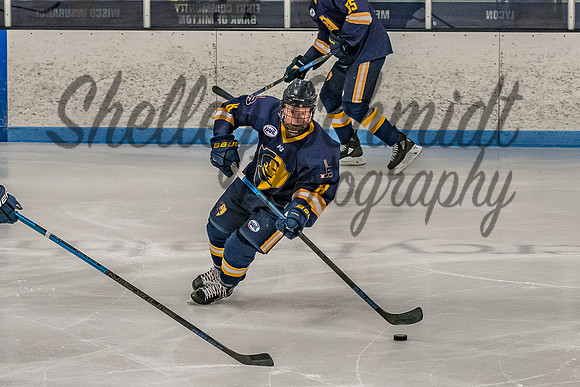 Jets 02-01-2019-8
