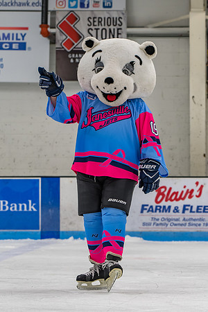 2019 Pink in the Rink-11