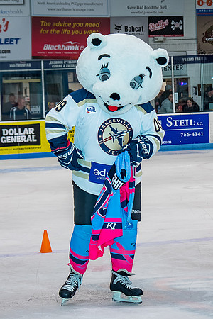 2019 Pink in the Rink-24